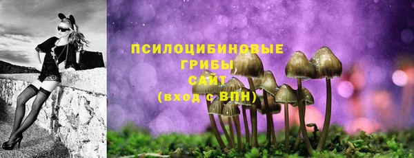 прущие грибы Верхний Тагил